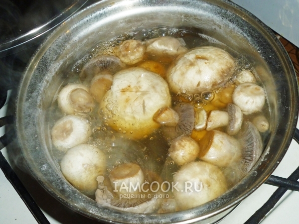Vařit houby
