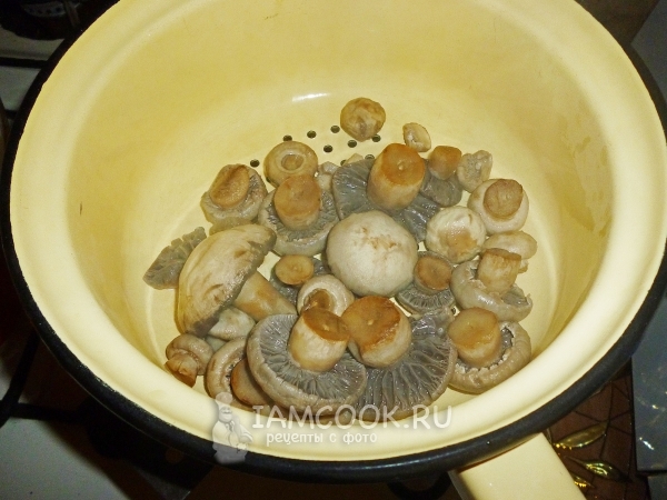 Smažte houby v cedníku