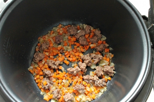 Fry the mince with onions and carrots