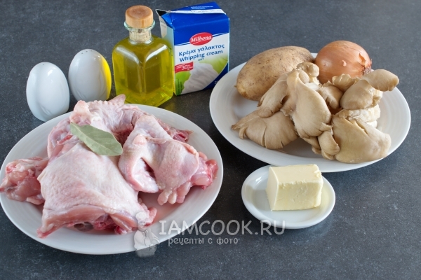 Složení pro houbovou polévku s bramborovou kaší a kuřecím masem