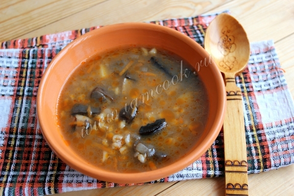 Foto de sopa de champiñones con cebada perlada