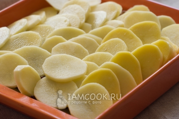 Sæt kartoflerne på svampe