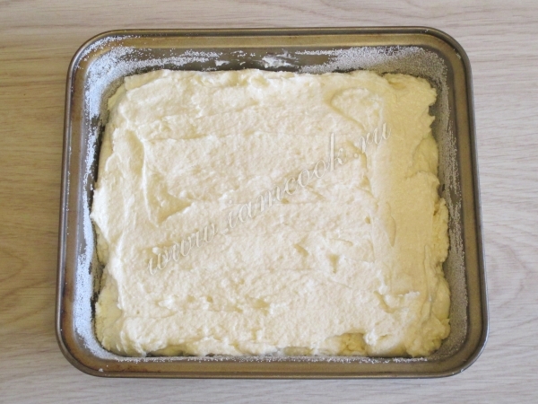 Dough for a cake in the form