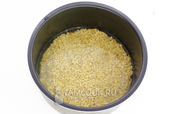 Put the water-pearl barley in the multi-