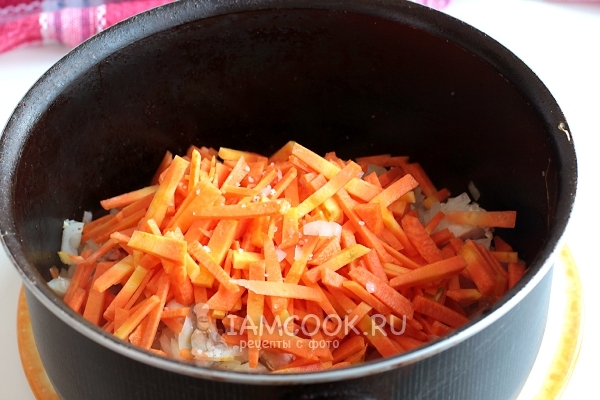 Metti le carote