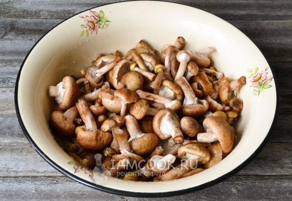 蘑菇清洁和洗涤