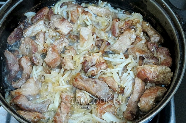 Fry meat with onions