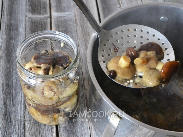 Transfer mushrooms to the jar