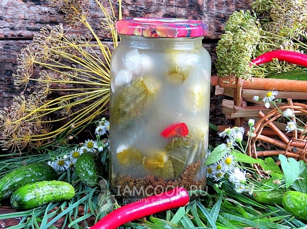 木桶黄瓜冬季罐照片