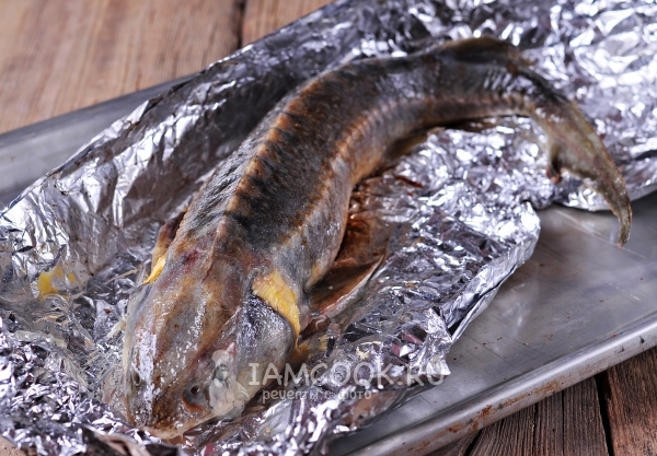 אופים דגים בתנור