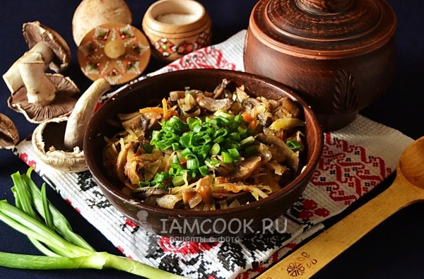 Photo of lean stewed cabbage with mushrooms