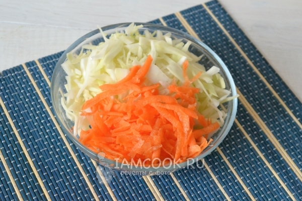 Leikkaa kaalia ja porkkanoita