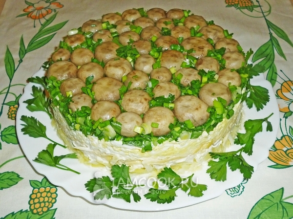 Champignon Glade Salat