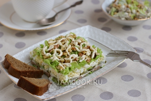 Foto salátu z hovězího jazyka s nakládanými okurky