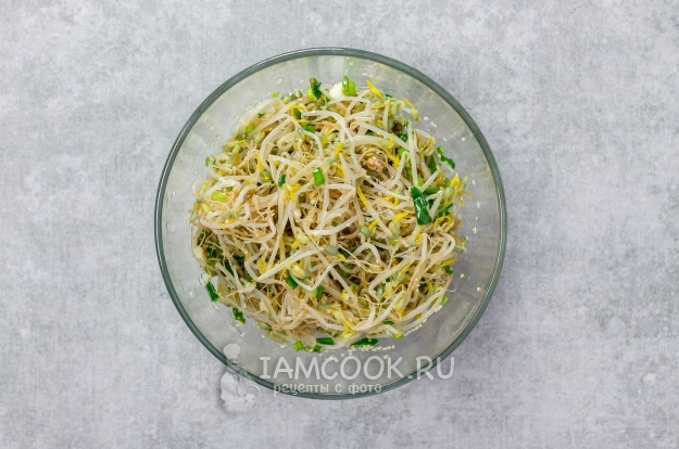 Recipe for salad from germinated mung in Korean