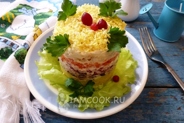 配菜沙拉“含羞草”与鲱鱼