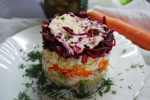 Foto eines Salats unter einem Pelzmantel