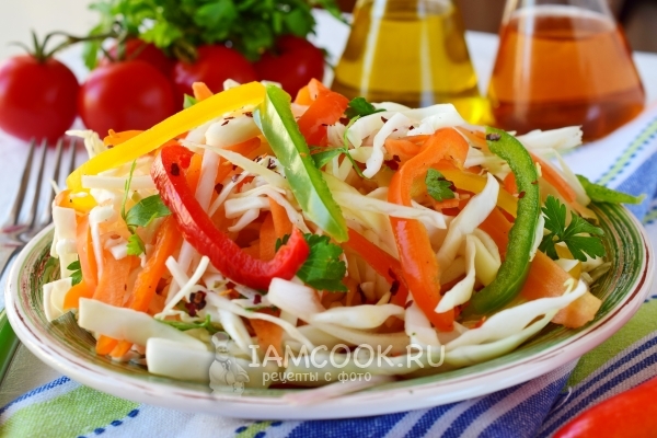 Billede af salat med kål, gulerødder og eddike
