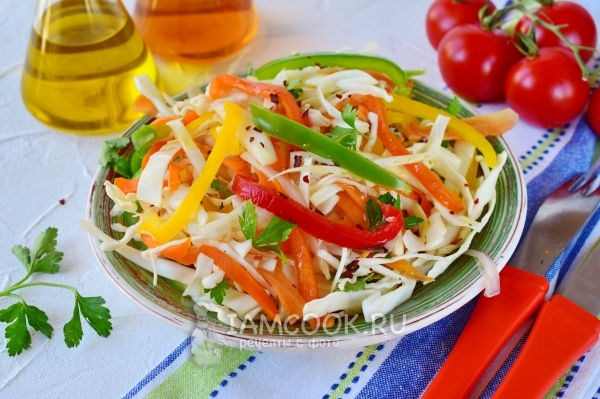 Salat Opskrift med Kål, Gulerødder og Eddike