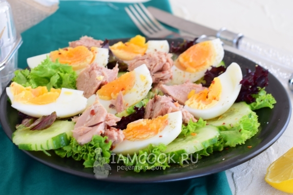 Fotografie salátu s konzervovaným tuňákem, okurkou a vejcem