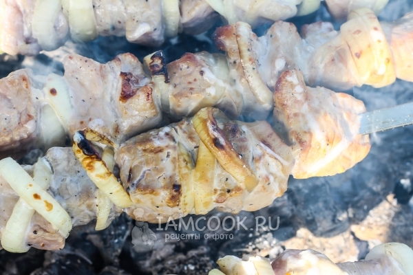 Συνταγή kebab Shish στη μαγιονέζα