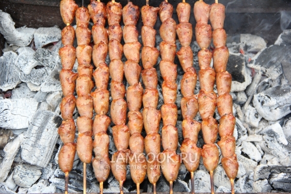 Za pržiti na šiške kebab na ugljevlju