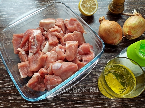 Zutaten für Schaschlik aus Schweinefleisch mit Zitrone und Zwiebeln