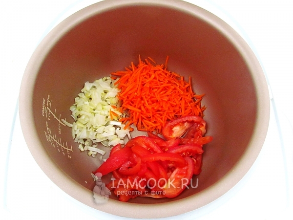 Coloque cebollas, zanahorias y tomates en el multivark