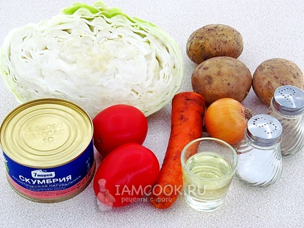 Ingredientes para sopa de repollo con pescado en conserva