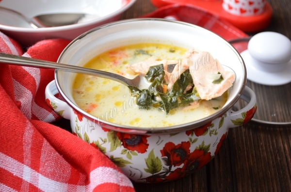 Resep untuk sup keju dengan salmon