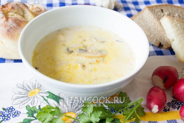 Foto de sopa de queso con champiñones