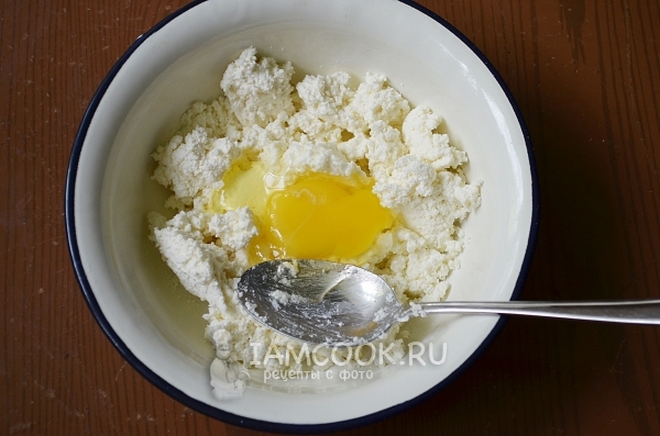 כונן את הביצה