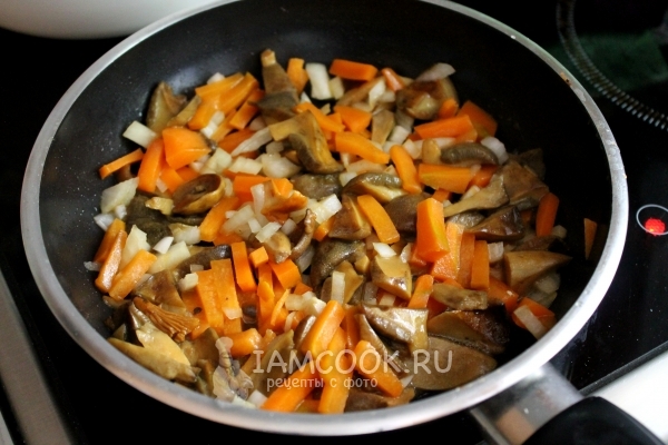 Fügen Sie Zwiebeln und Karotten hinzu