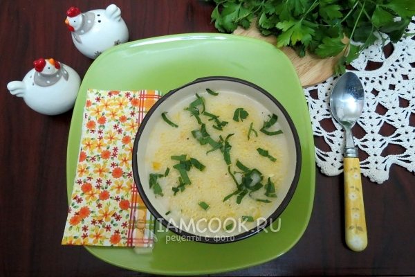Снимка на супа от саламурено сирене