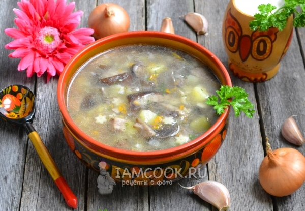 Foto de sopa de champiñones de podberezovikov