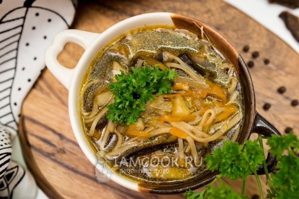 牛肝菌和自制面条汤的照片