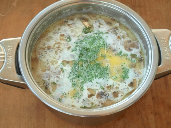 Cocine la sopa con champiñones y queso derretido