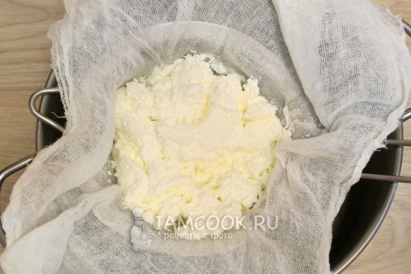 מכינים את גבינת הקוטג '