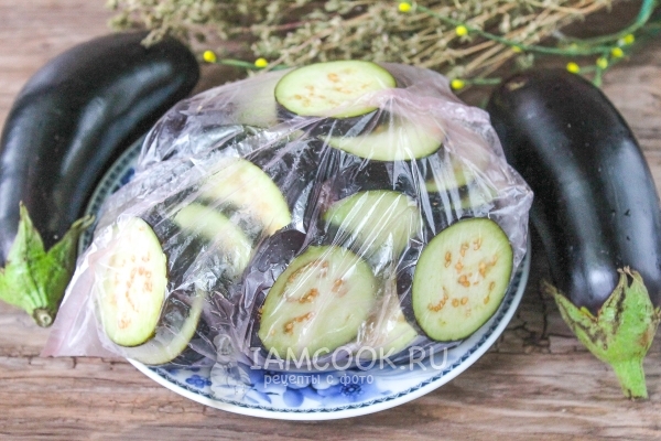Photo of eggplant frozen at home for the winter (in the freezer)