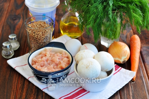 Ingredients for casseroles with minced meat and minced meat