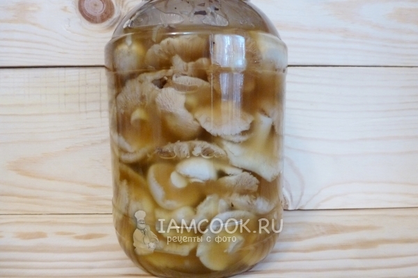 Put the mushrooms in the jar