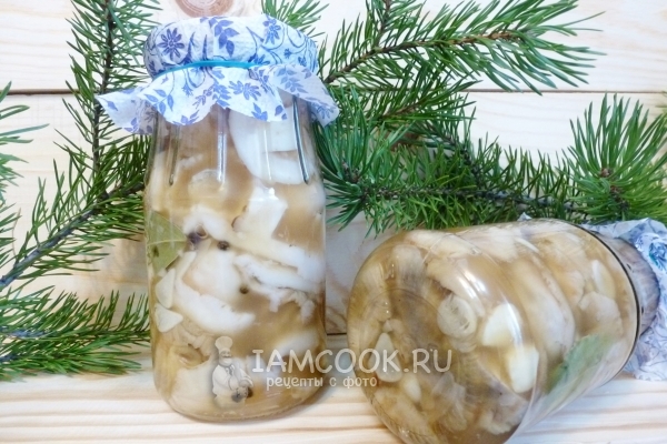Photo of pickling russules in cold fashion