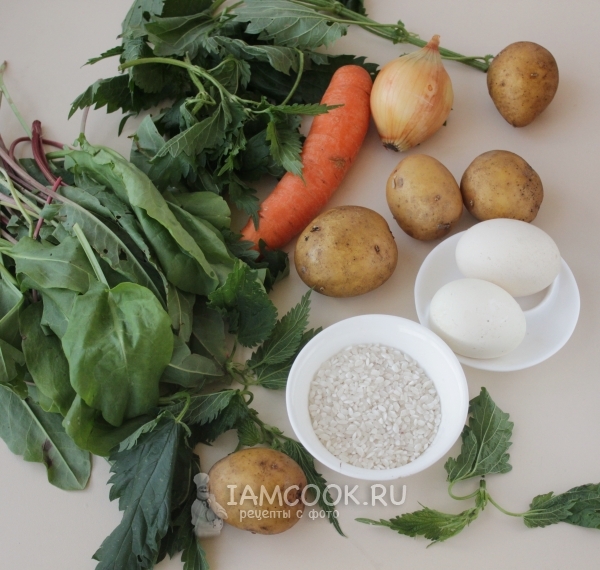 绿色卷心菜汤配荨麻和酢浆草的成分