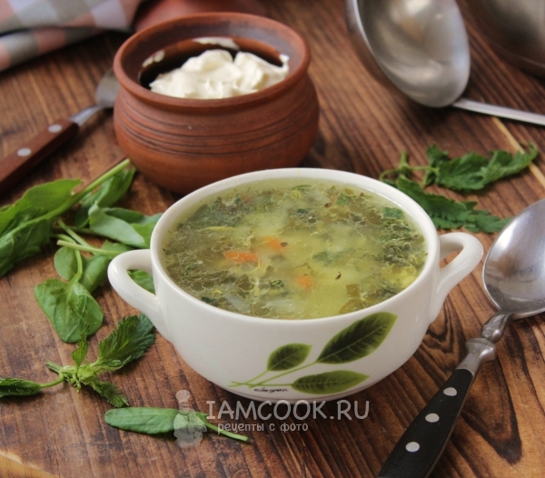 ネッティルとソルレルの緑キャベツスープのレシピ