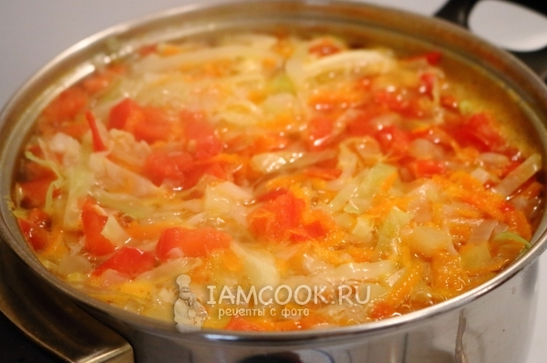 把西红柿和卷心菜放在汤里
