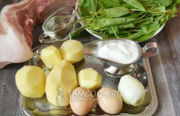 Ingredients for green borsch in multivark